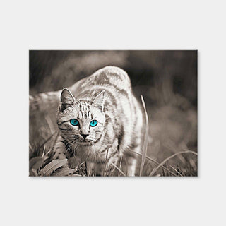 AUTO-MOCKUP WHITE | Cat On The Prowl | 1 Piece | Gallery Wrap Canvas | group=4x3