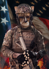 Cat Soldier Wall Art