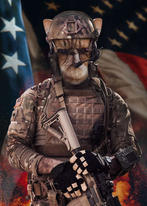 Cat Soldier Wall Art