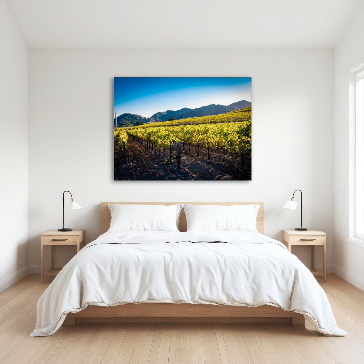 AUTO-MOCKUP ROOM | Central California Vineyard