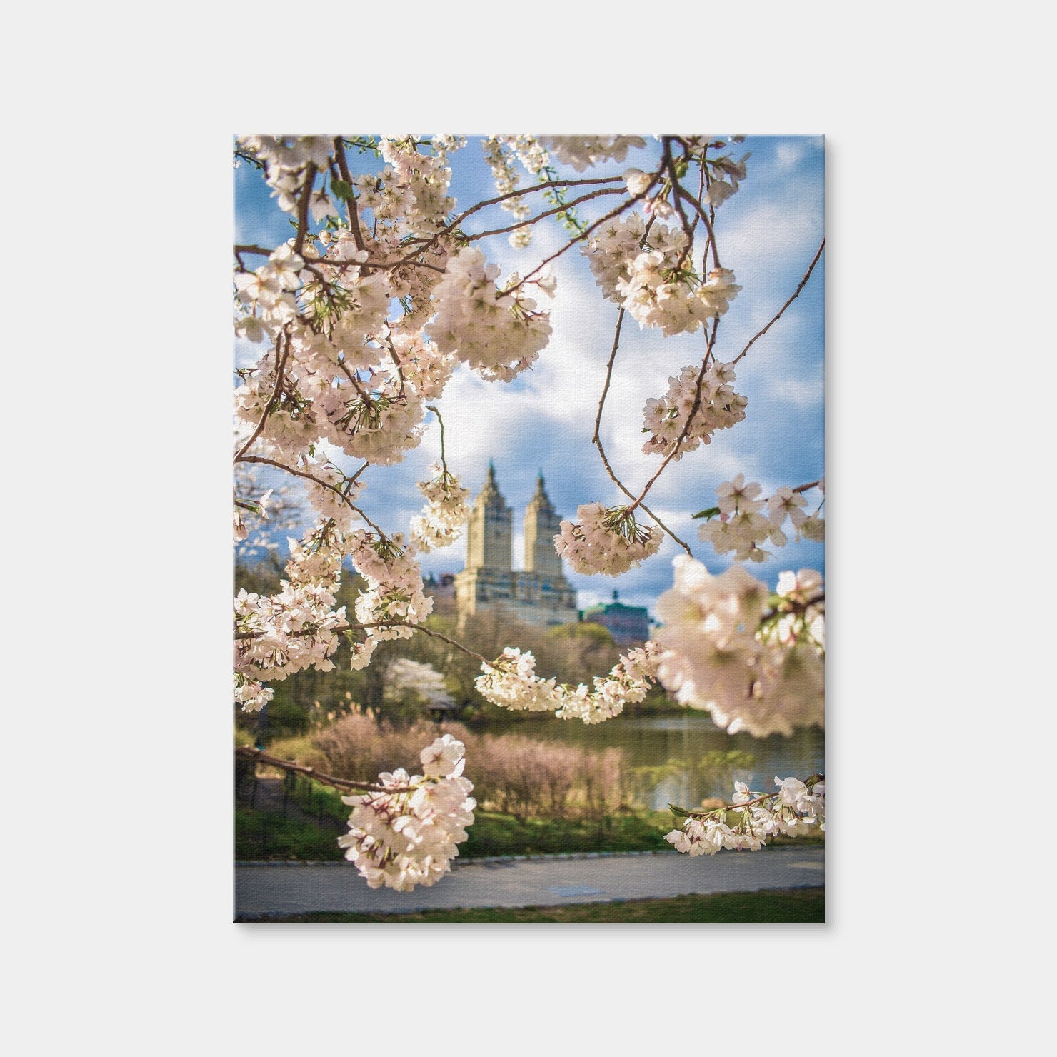 AUTO-MOCKUP WHITE | Central Park Cherry Blossoms | 1 Piece | Gallery Wrap Canvas | group=3x4