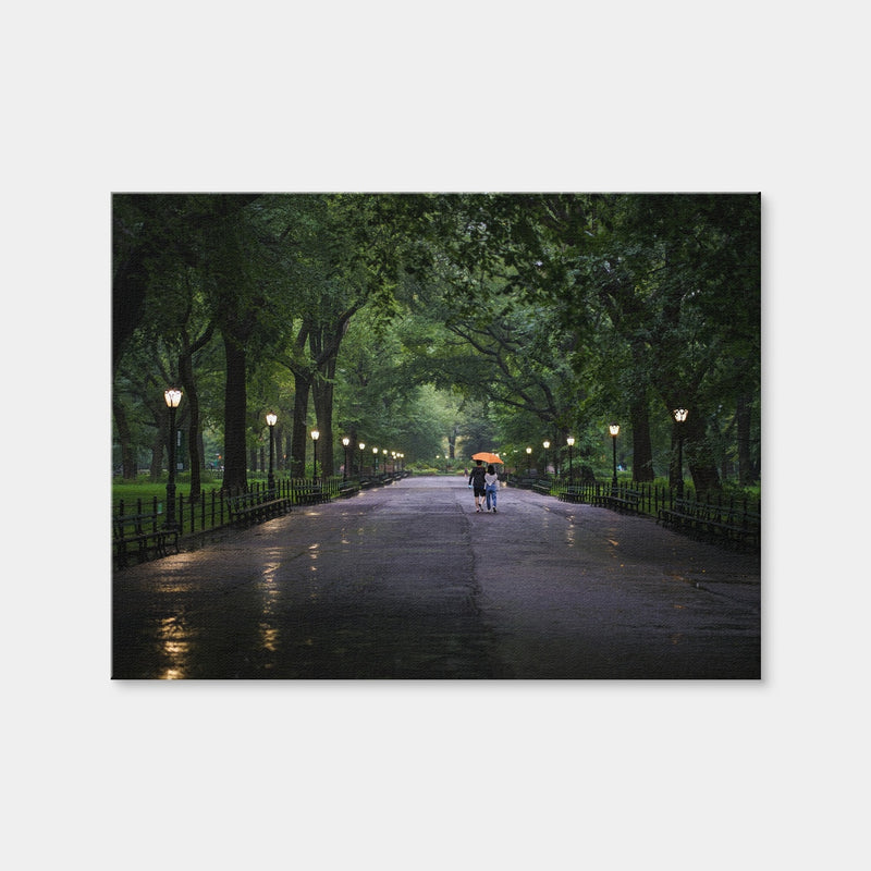 AUTO-MOCKUP WHITE | Central Park Walk | 1 Piece | Gallery Wrap Canvas | group=4x3