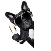 Champagne dog Wall Art
