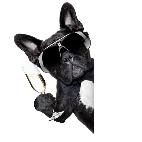 Champagne dog Wall Art