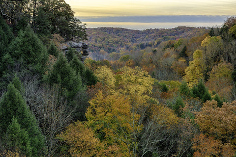 Conkle's Hollow State Nature Preserve Wall Art