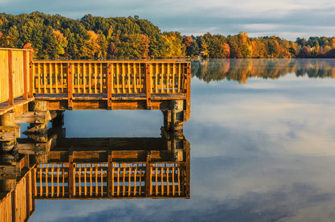 Connecticut Autumn Wall Art