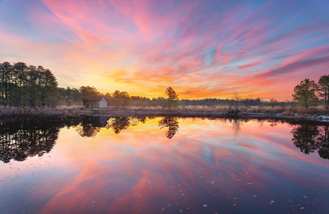 Cranberry Bog Sunrise Big Skies Wall Art