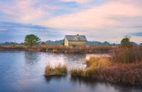 Cranberry Bog Winter Transition Wall Art
