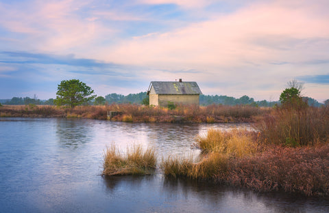 Cranberry Bog Winter Transition Wall Art