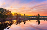 Cranberry Bogs Mirrored Mornings Wall Art