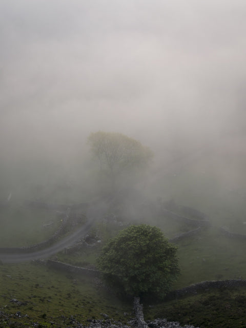 Cregennan Mist Wall Art
