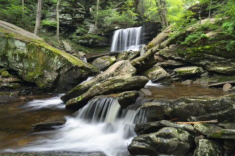 Crossed Streams Wall Art