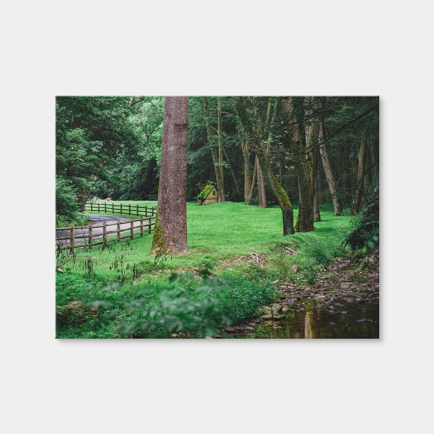 AUTO-MOCKUP WHITE | Cuttalossa Farm | 1 Piece | Gallery Wrap Canvas | group=4x3