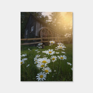 AUTO-MOCKUP WHITE | Daisy-Mill | 1 Piece | Gallery Wrap Canvas | group=3x4