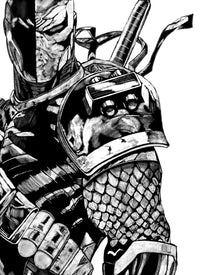 Deathstroke Wall Art