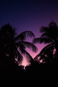 Deep Sunset Wall Art