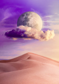 Desert moon Wall Art