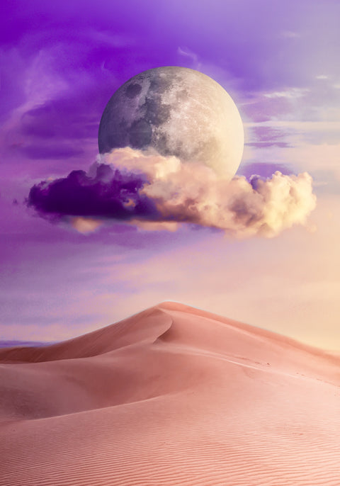 Desert moon Wall Art