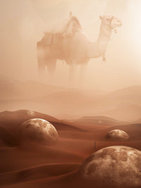 Desert moons Wall Art