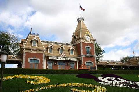 Disneyland Train Station Wall Art