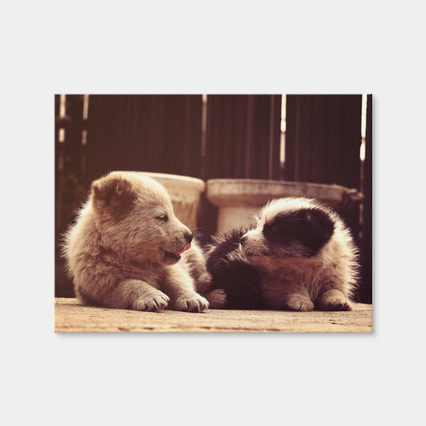 AUTO-MOCKUP WHITE | Dog's Best Friend | 1 Piece | Gallery Wrap Canvas | group=4x3