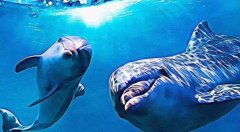 Dolphin & Calf Wall Art