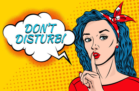 Don't Disturb Wall Art