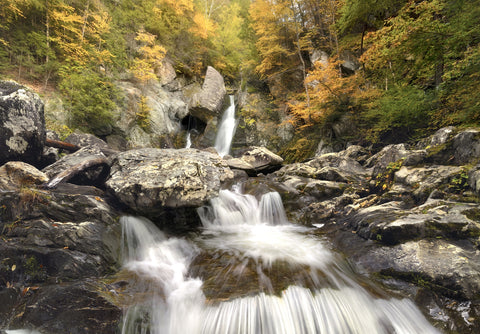 Down Stream Wall Art