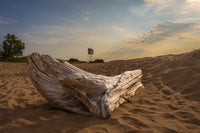 Driftwood Sunset Wall Art