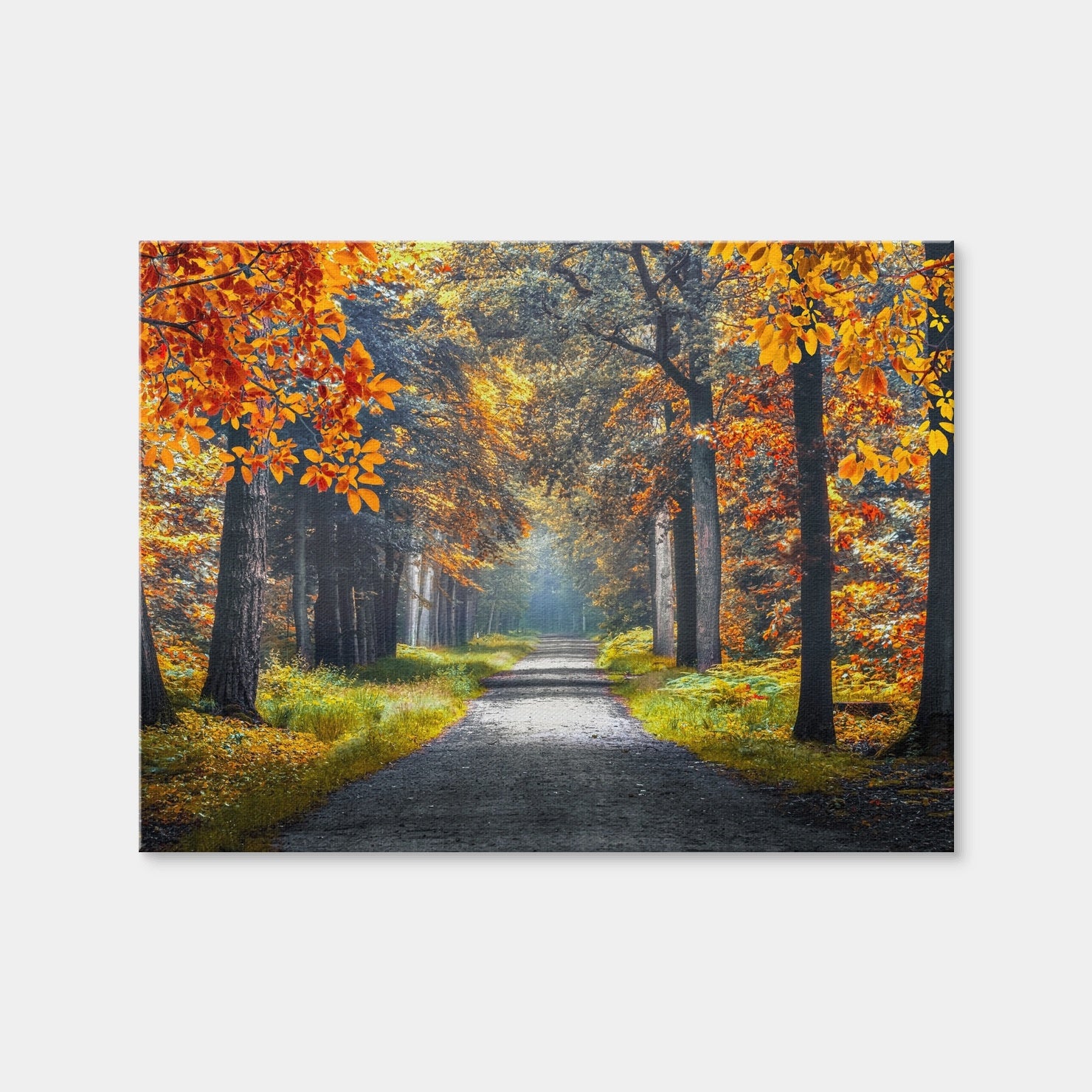 AUTO-MOCKUP WHITE | Dutch Forest | 1 Piece | Gallery Wrap Canvas | group=4x3