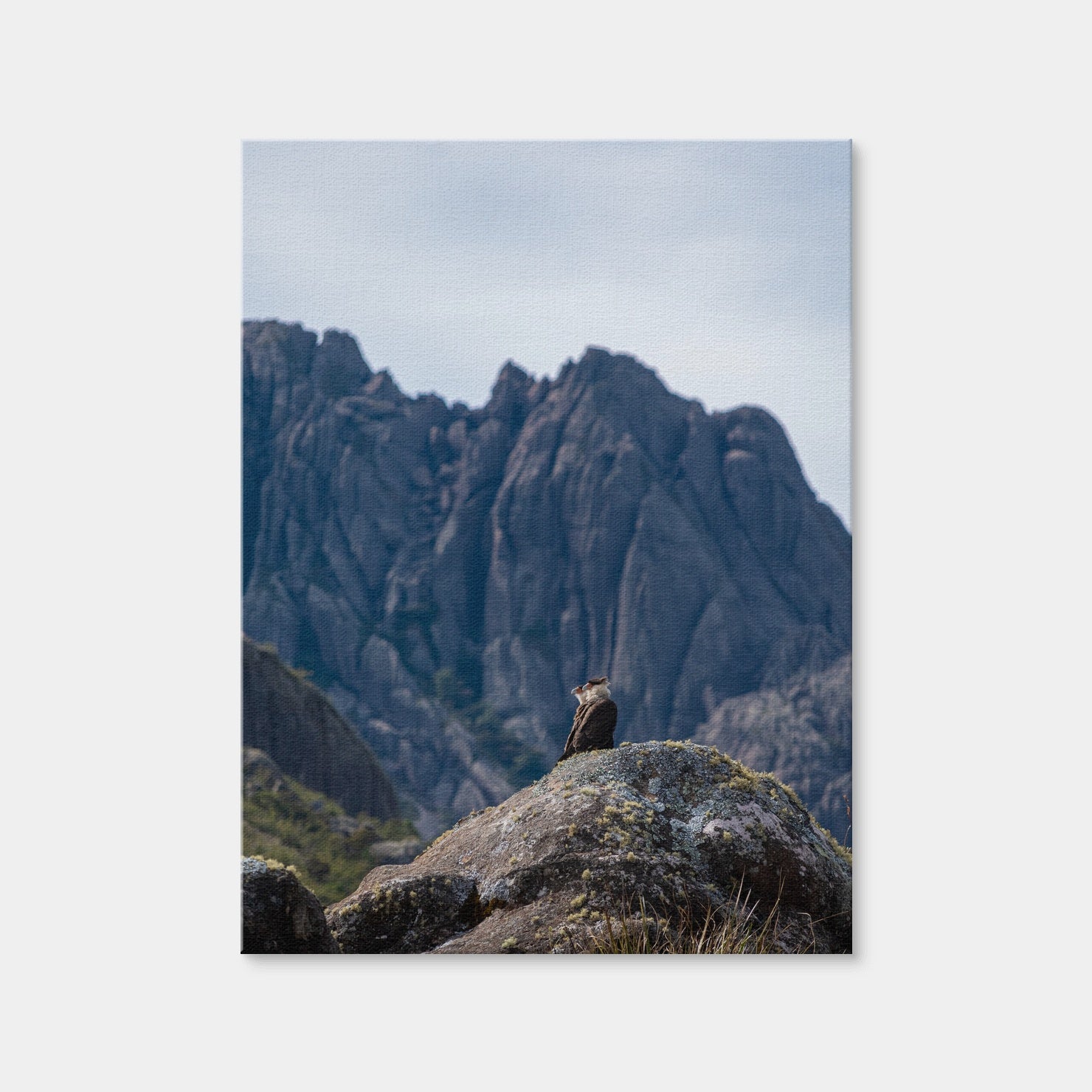 AUTO-MOCKUP WHITE | Eagles and Black Needles Peak | 1 Piece | Gallery Wrap Canvas | group=3x4