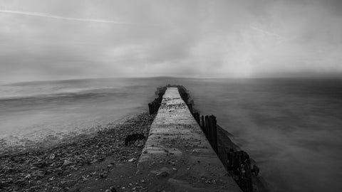 EdistoI Island Beach Grayscale Wall Art