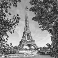 Eiffel Tower with River Seine Wall Art