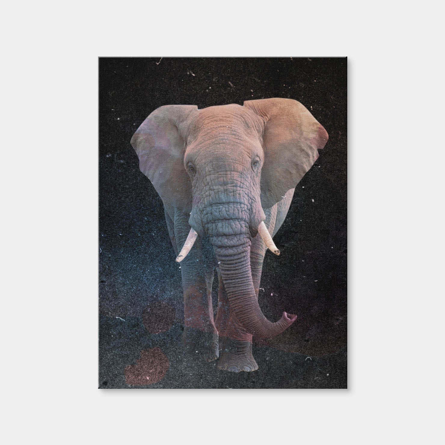 AUTO-MOCKUP WHITE | Elephant Art | 1 Piece | Gallery Wrap Canvas | group=3x4
