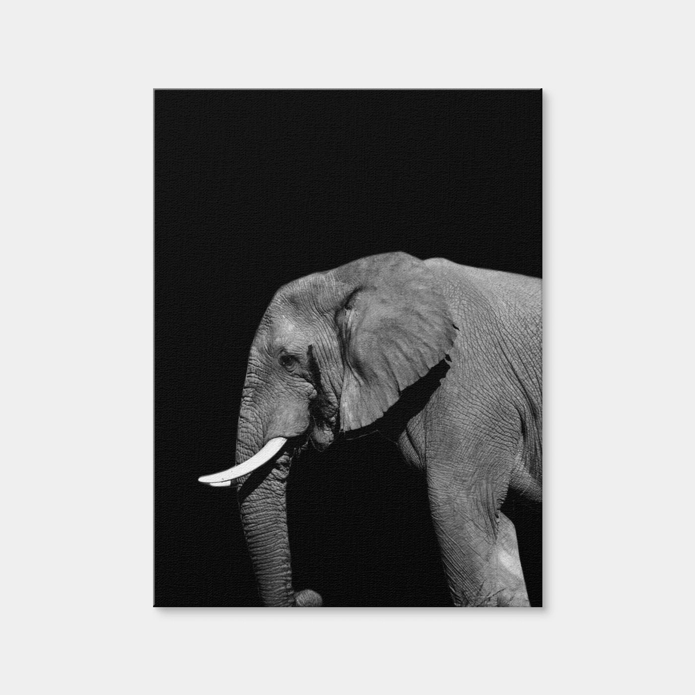 AUTO-MOCKUP WHITE | Elephant | 1 Piece | Gallery Wrap Canvas | group=3x4