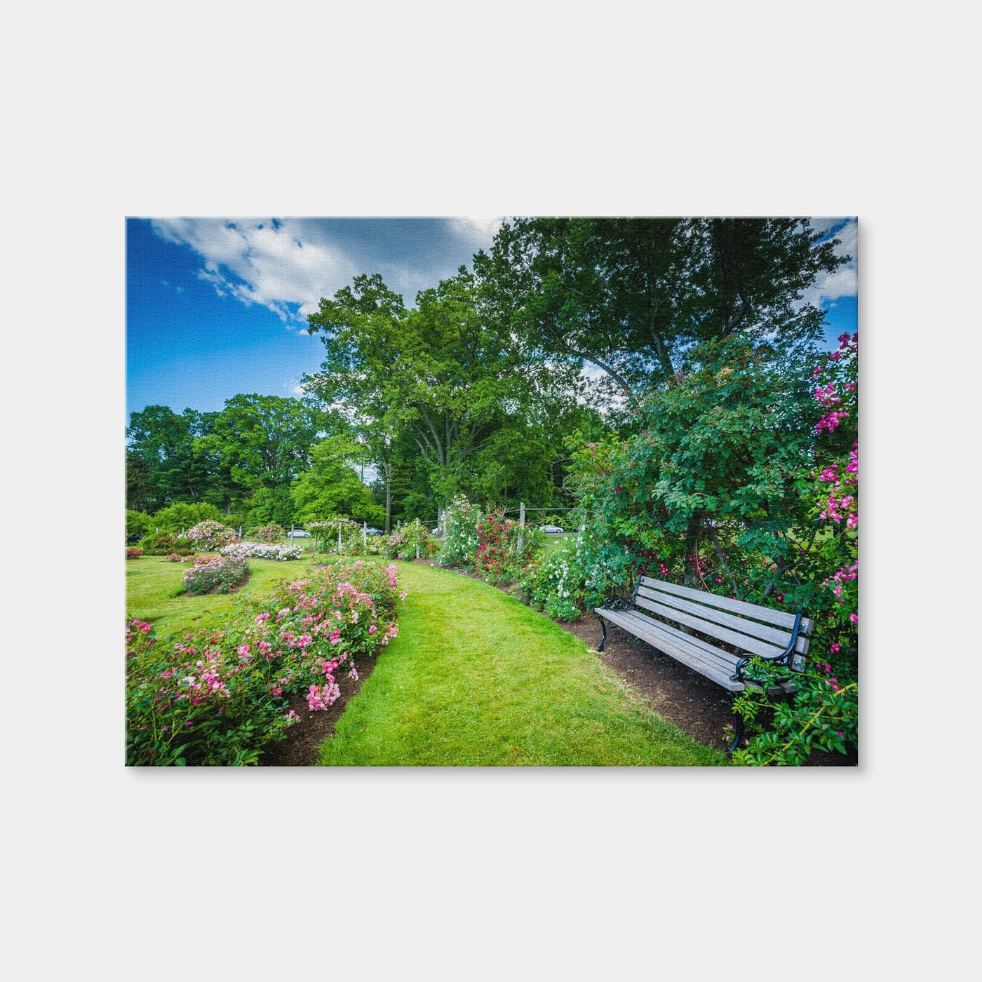 AUTO-MOCKUP WHITE | Elizabeth Park | 1 Piece | Gallery Wrap Canvas | group=4x3