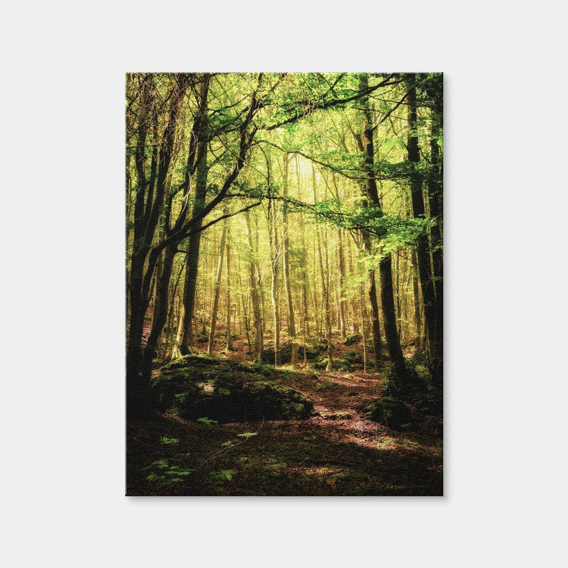 AUTO-MOCKUP WHITE | Enchanting Forest Vol. 1 | 1 Piece | Gallery Wrap Canvas | group=3x4