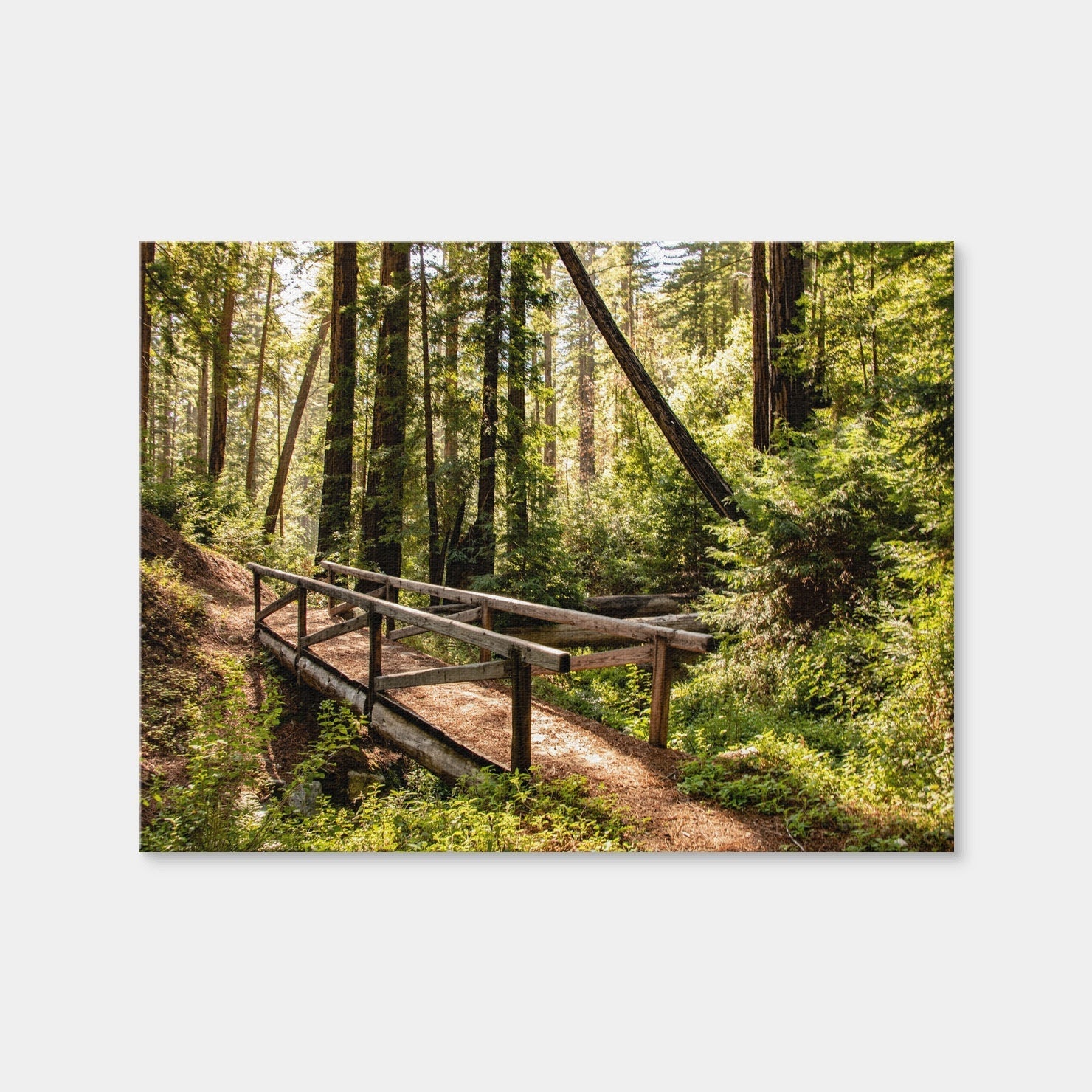 AUTO-MOCKUP WHITE | Ewoldsen Trail Bridge | 1 Piece | Gallery Wrap Canvas | group=4x3