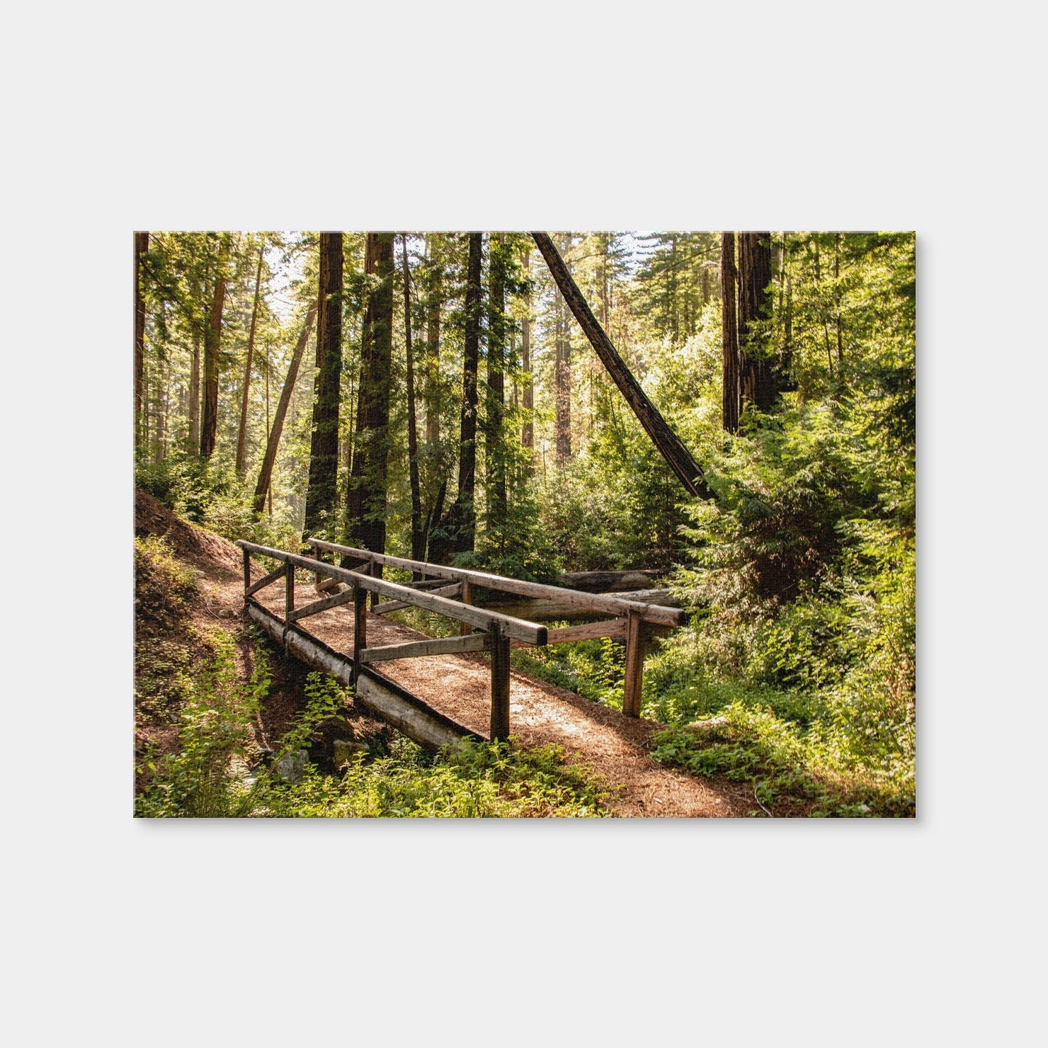AUTO-MOCKUP WHITE | Ewoldsen Trail Bridge | 1 Piece | Gallery Wrap Canvas | group=4x3