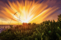 Exploding Sunset Wall Art