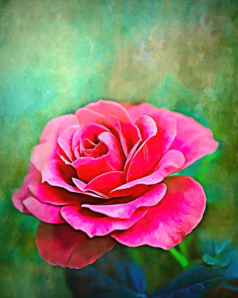 Exquisite Pink Rose Wall Art
