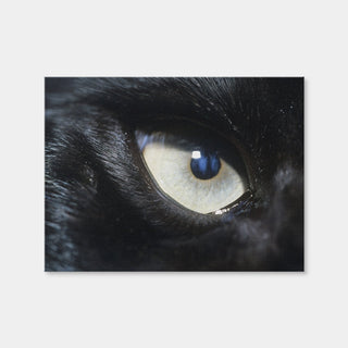 AUTO-MOCKUP WHITE | Eye of Black Wolf | 1 Piece | Gallery Wrap Canvas | group=4x3