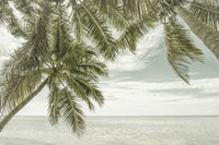 FLORIDA Vintage Oceanview Wall Art