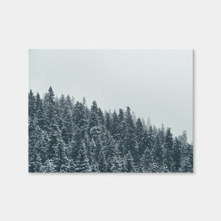 AUTO-MOCKUP WHITE | Fading Pines | 1 Piece | Gallery Wrap Canvas | group=4x3