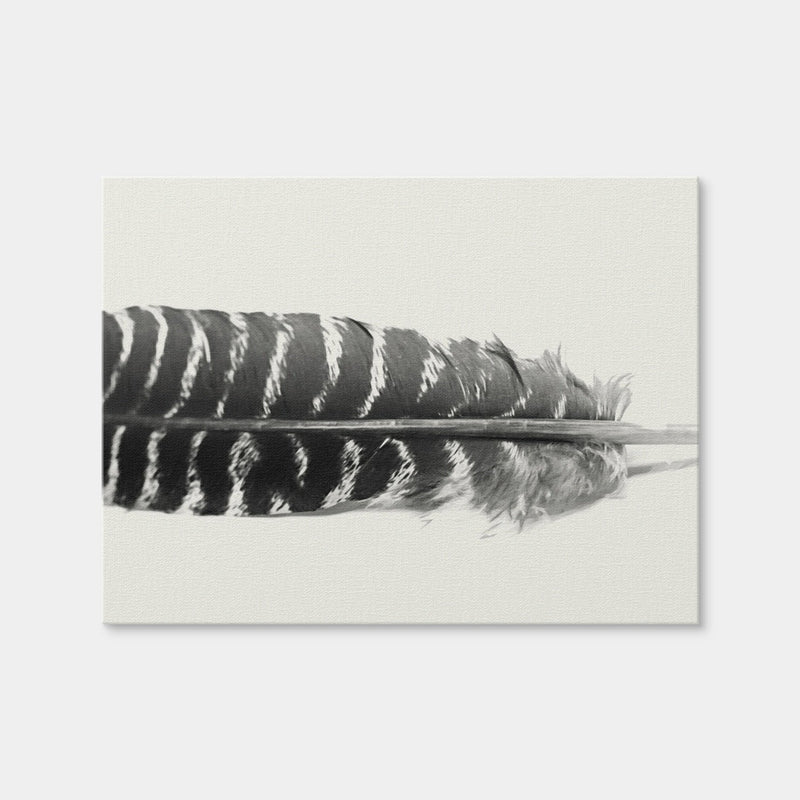AUTO-MOCKUP WHITE | Falcon Feather | 1 Piece | Gallery Wrap Canvas | group=4x3