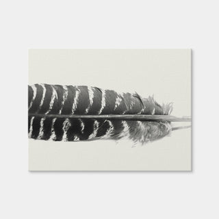 AUTO-MOCKUP WHITE | Falcon Feather | 1 Piece | Gallery Wrap Canvas | group=4x3