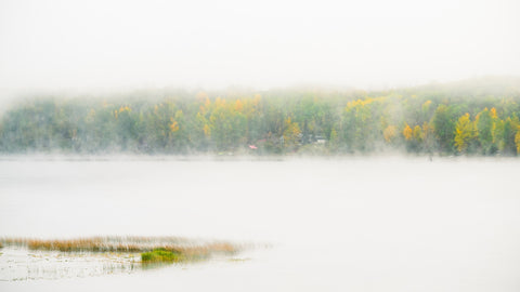 Fall Colors in Northern BC 2 Wall Art
