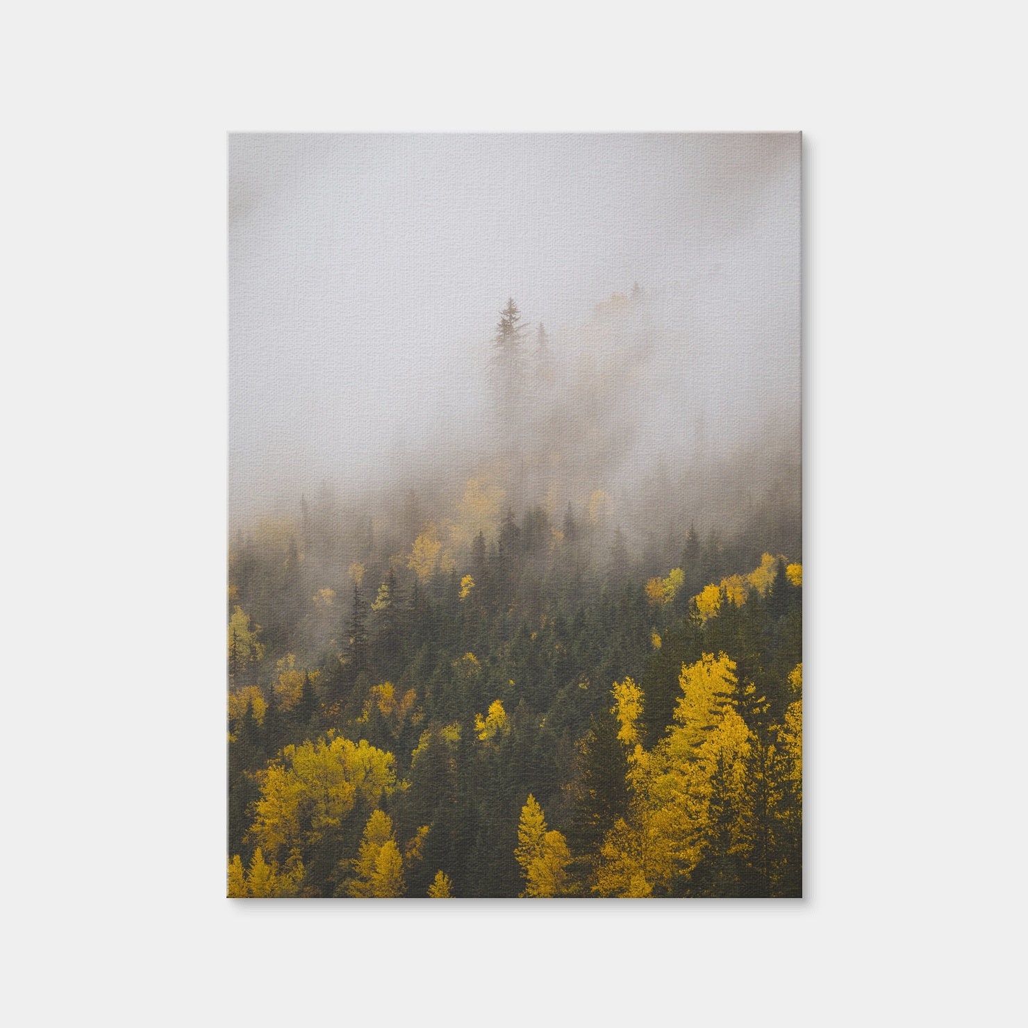 AUTO-MOCKUP WHITE | Fall Colors in Northern BC 4 | 1 Piece | Gallery Wrap Canvas | group=3x4