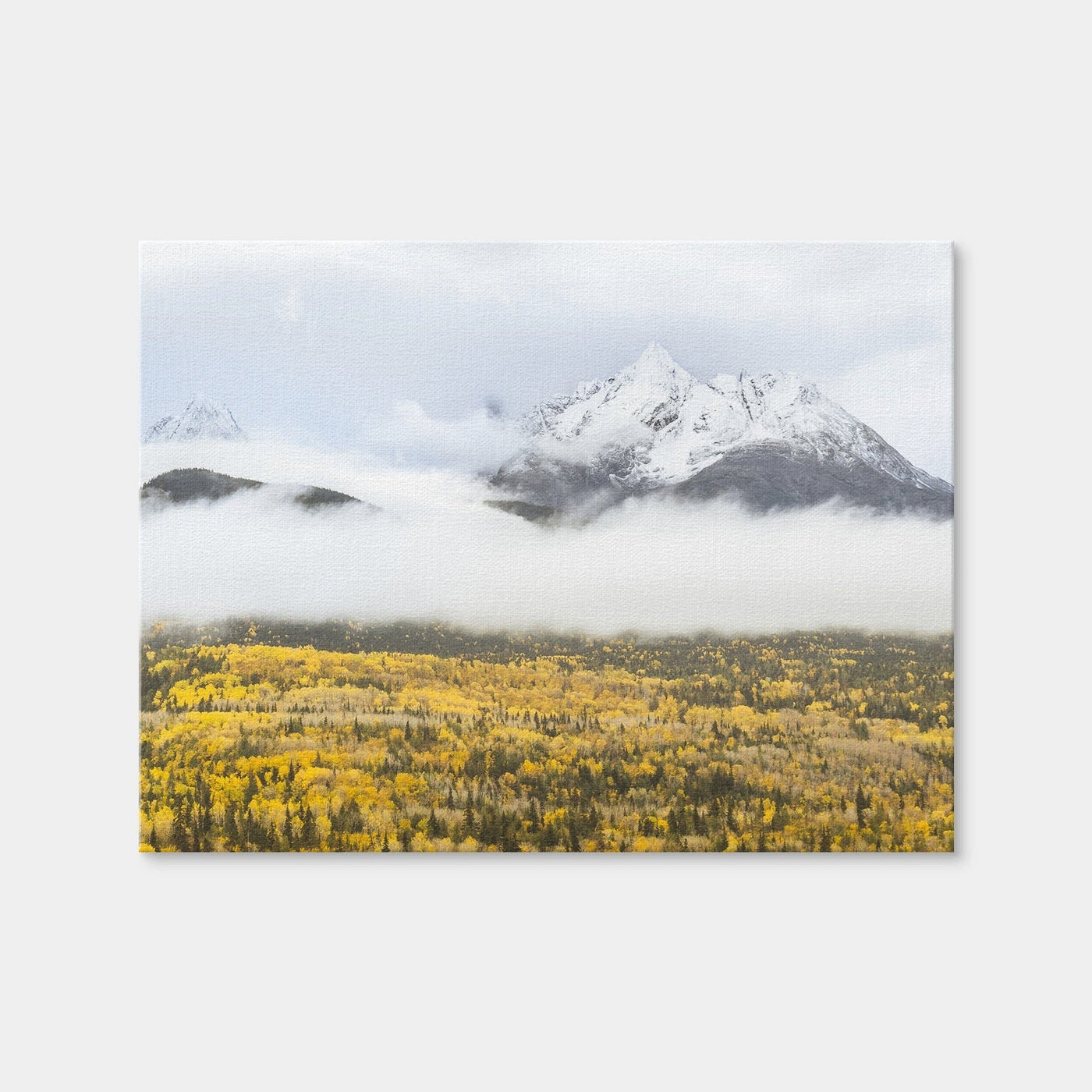 AUTO-MOCKUP WHITE | Fall Colors in Northern BC 8 | 1 Piece | Gallery Wrap Canvas | group=4x3