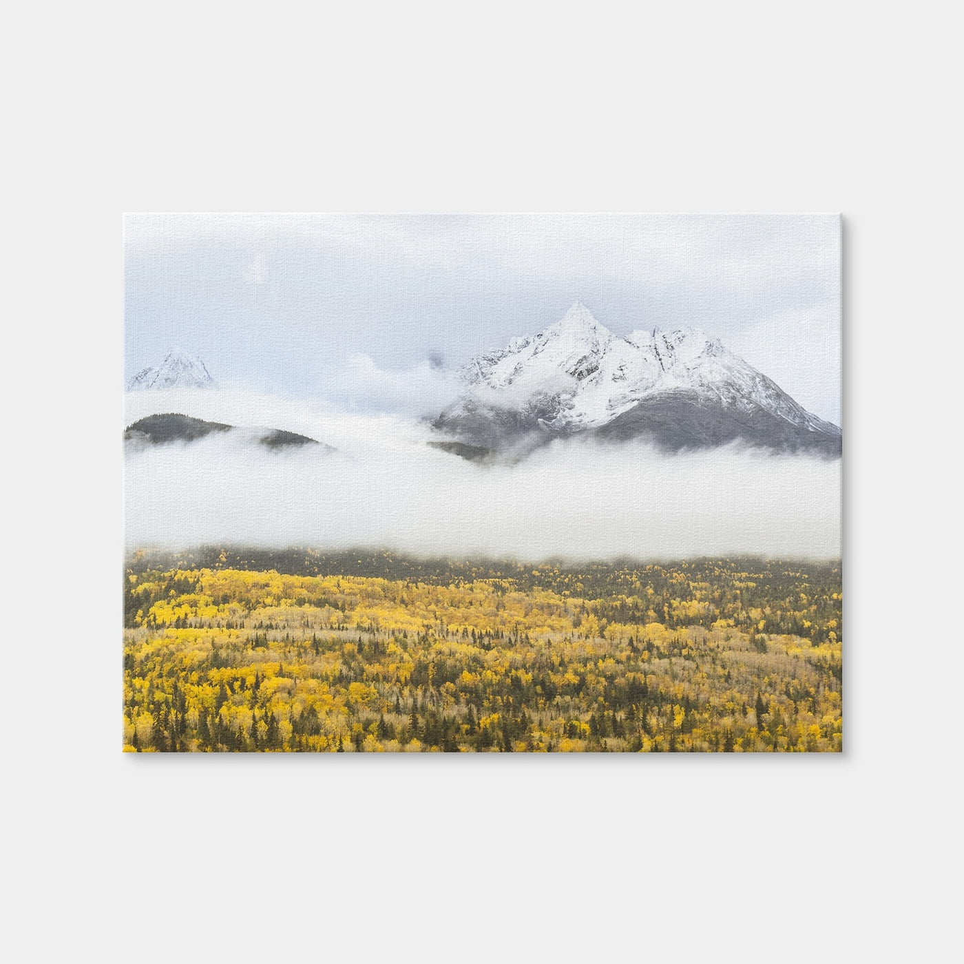AUTO-MOCKUP WHITE | Fall Colors in Northern BC 8 | 1 Piece | Gallery Wrap Canvas | group=4x3